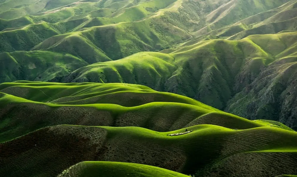 Voyageur photographiant un paysage